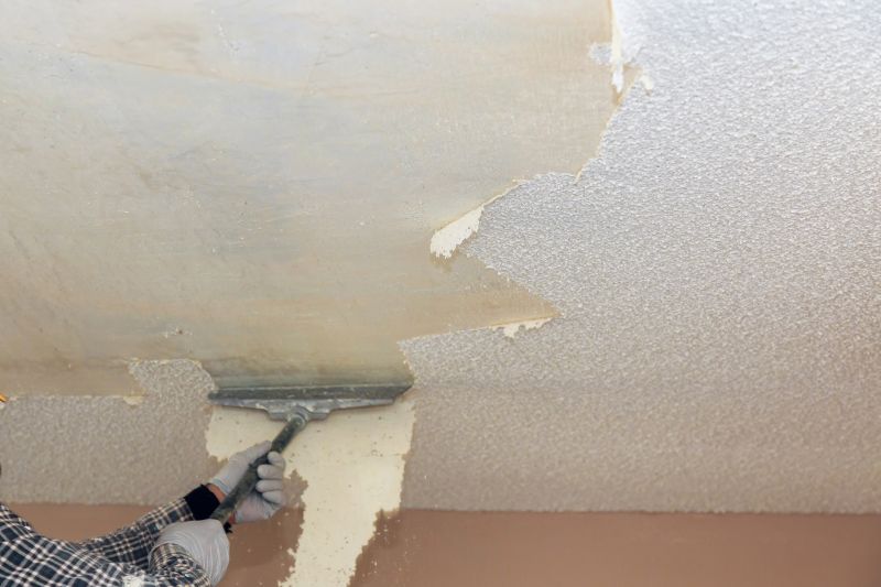 Drywall Texture Removal