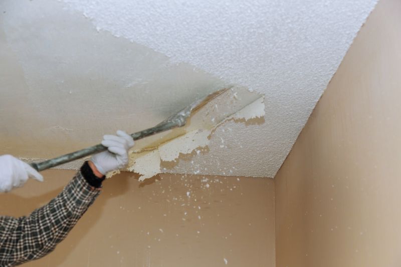 Drywall Texture Removal