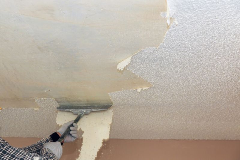 Drywall Texture Removal detail